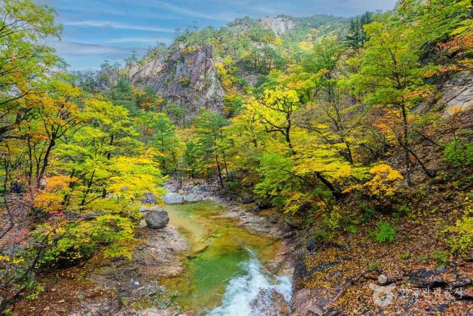 [예스키즈존] 설악산 국립공원(외설악)
