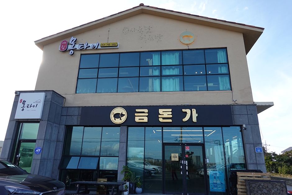[예스키즈존] 금돈가 제주본점