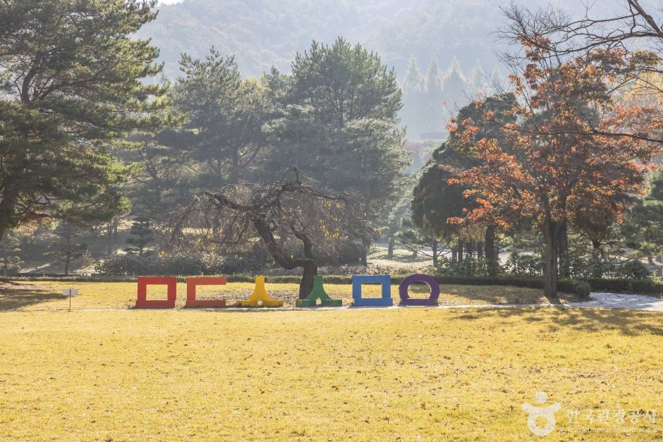 [예스키즈존] 미동산수목원