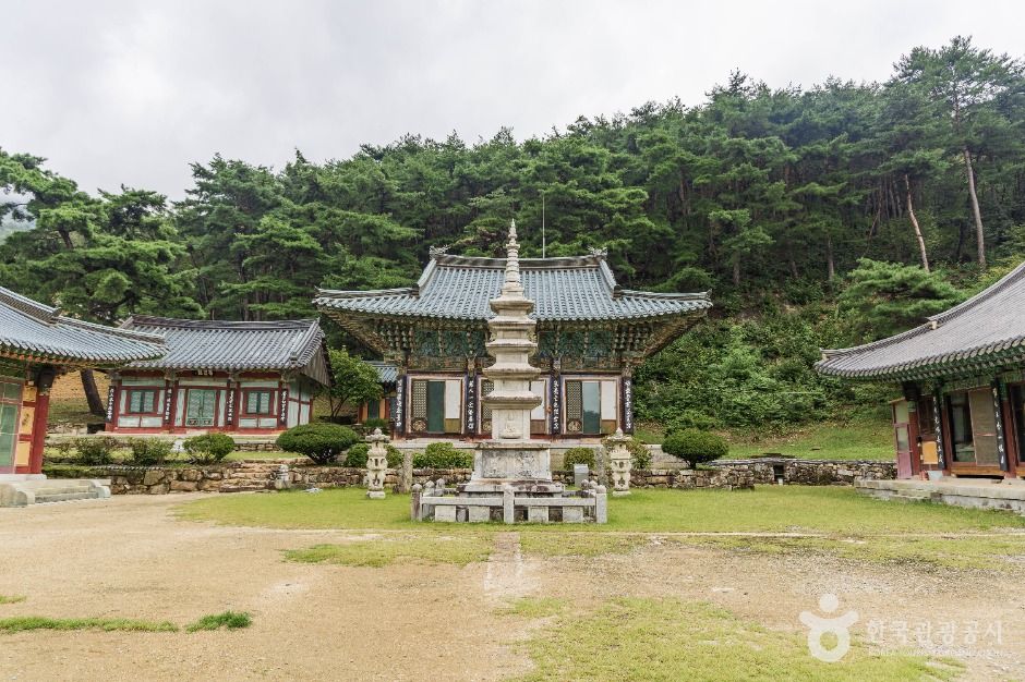 [예스키즈존] 용흥사(상주)