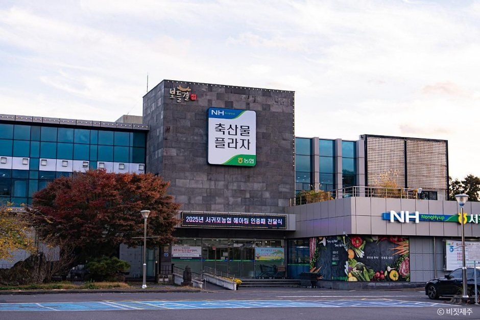 [예스키즈존] 서귀포시축협 축산물플라자