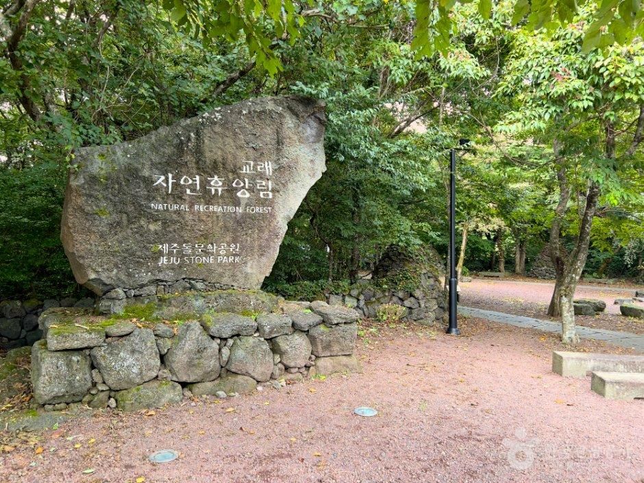 [예스키즈존] 제주 교래자연휴양림