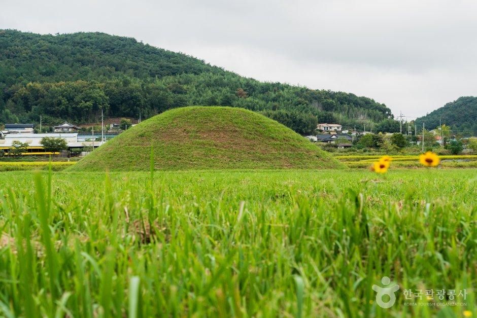 [예스키즈존] 나주 복암리 고분군